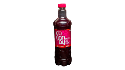 Doganay Salgam raugintų morkų sultys, aštrios 2L