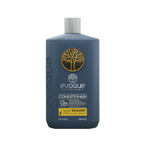 EVOQUE PROFESSIONAL KONDICIONIERIS GALVAS ĀDAS KOPŠANAI 300 ML