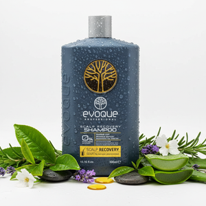 EVOQUE PROFESSIONAL ŠAMPŪNS GALVAS ĀDAS KOPŠANAI 300 ML